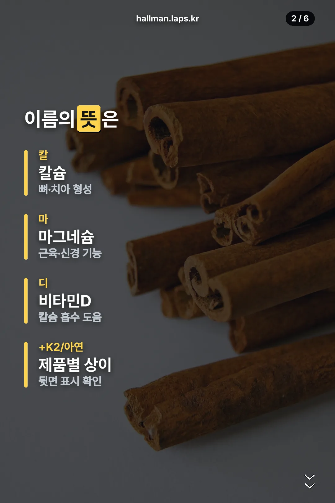 이름의 뜻