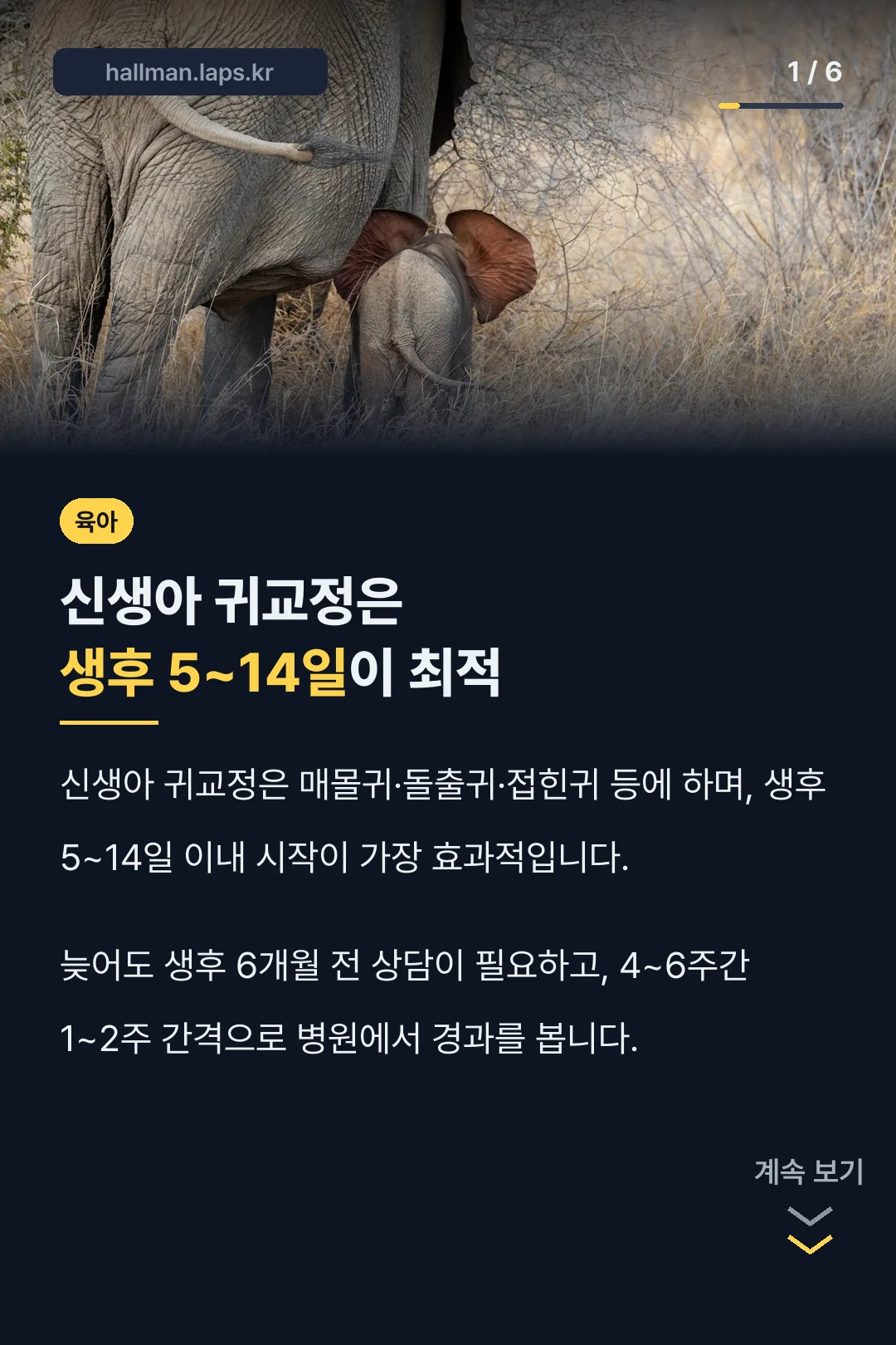 신생아 귀교정은 생후 5~14일이 최적