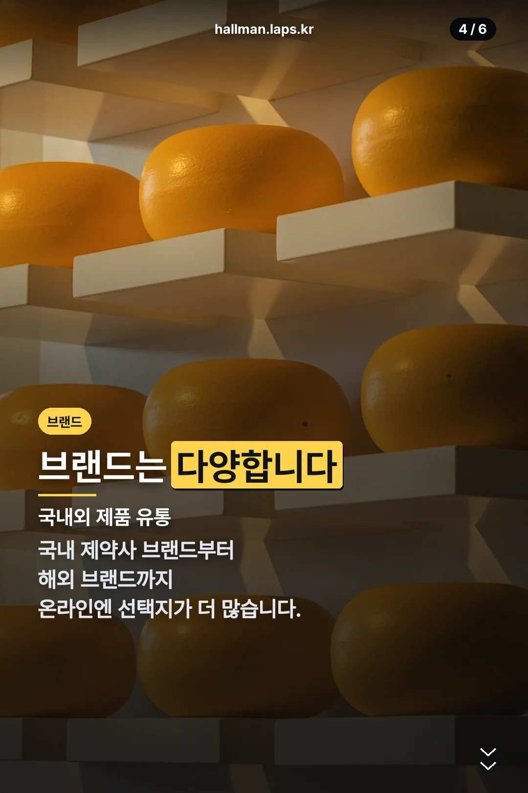 브랜드 다양성 안내