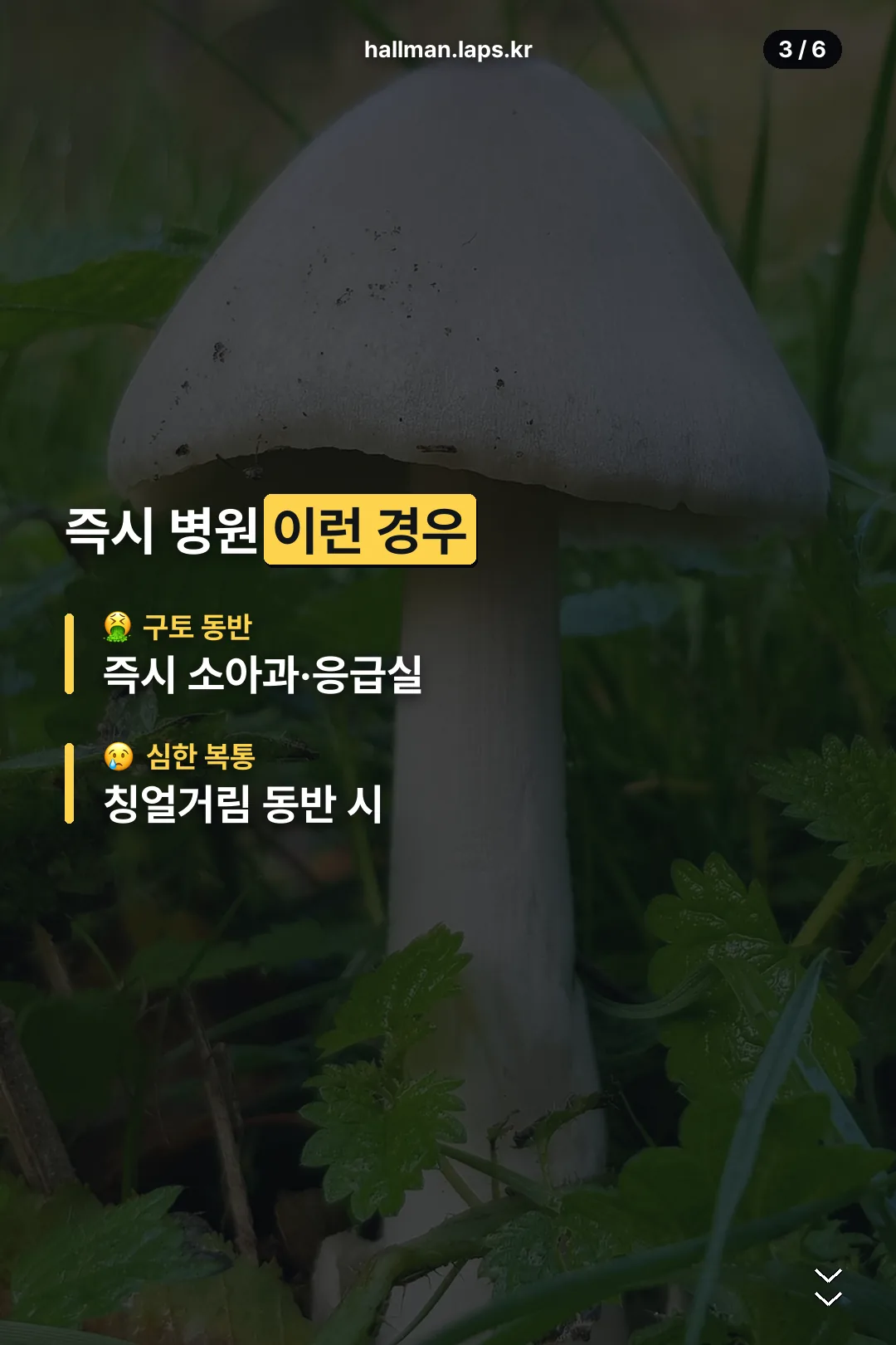 즉시 병원 가야 하는 경우