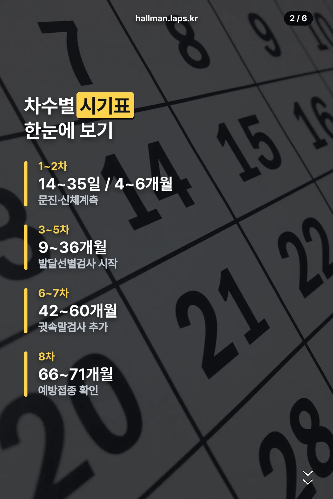 차수별 시기표