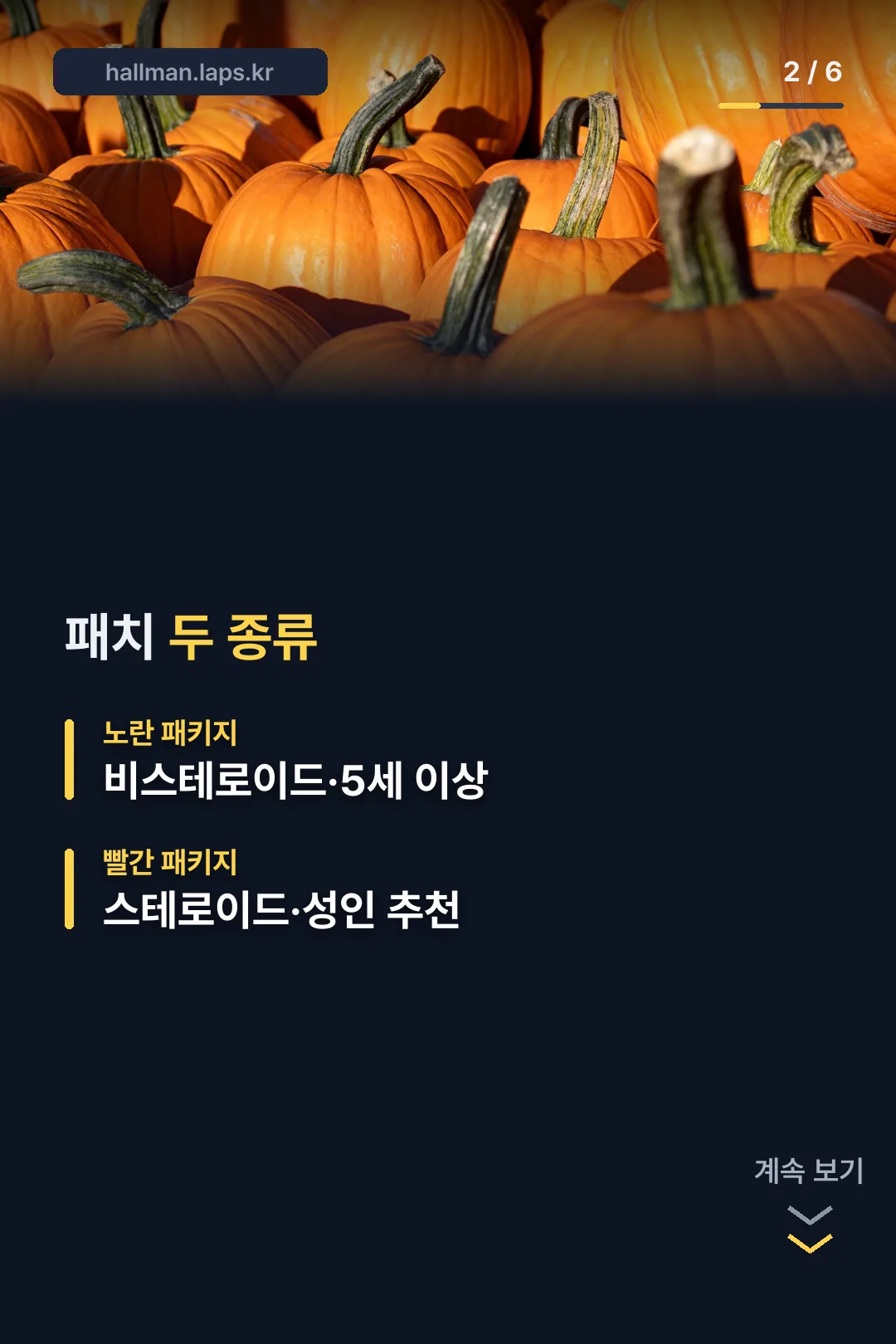 패치 두 종류 비교