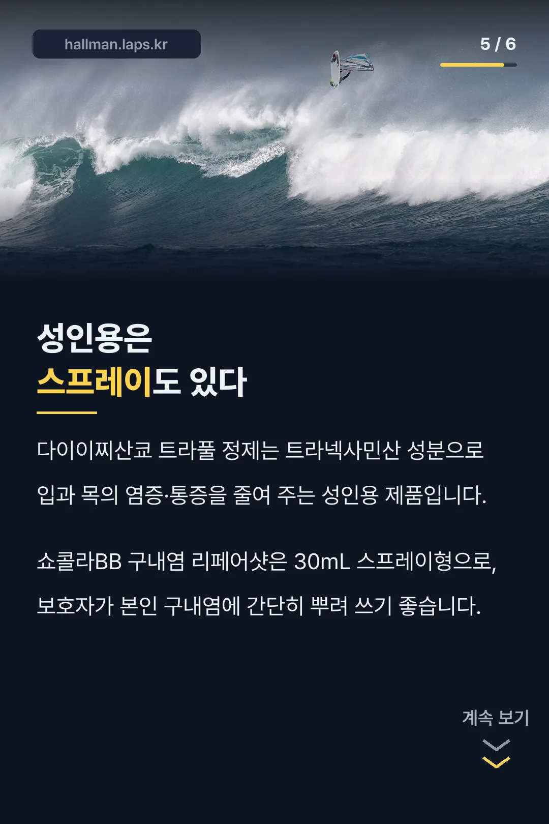 성인용 제품 소개
