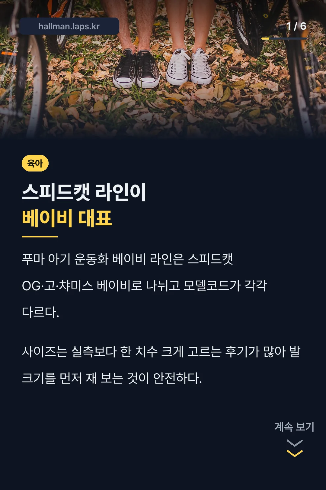 스피드캣 베이비 라인업 소개